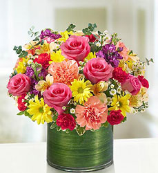 Dee’s Bouquet Davenport Florist - Same Day Flower Delivery - Flower Power 